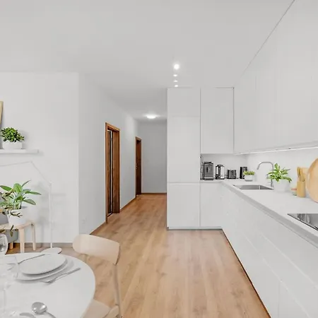 Bright Design Loft With Balcony 公寓 布拉迪斯拉发